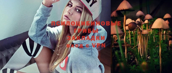 а пвп мука Алзамай
