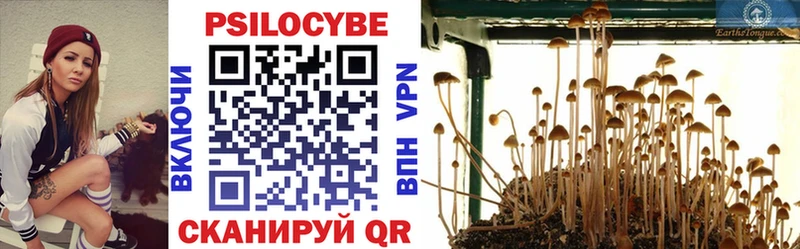 blacksprut как зайти Дербент Галлюциногенные грибы Psilocybine cubensis